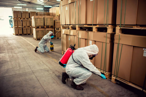 Best Pest Prevention Services  in Crowley Lake, CA