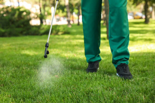 Trusted Crowley Lake, CA Pest Control Experts