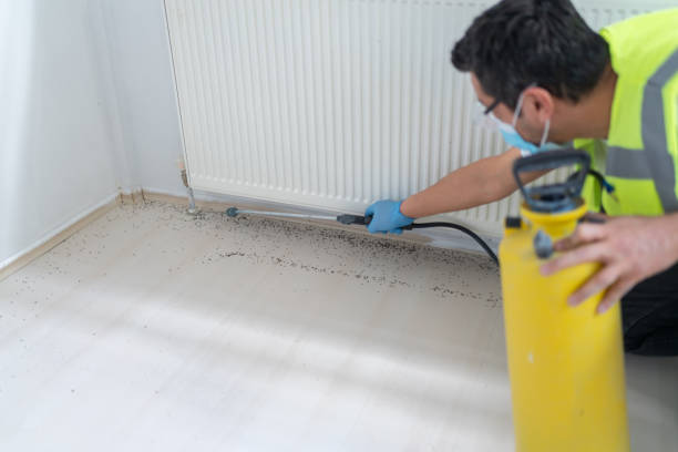 Best Termite Control Services  in Crowley Lake, CA